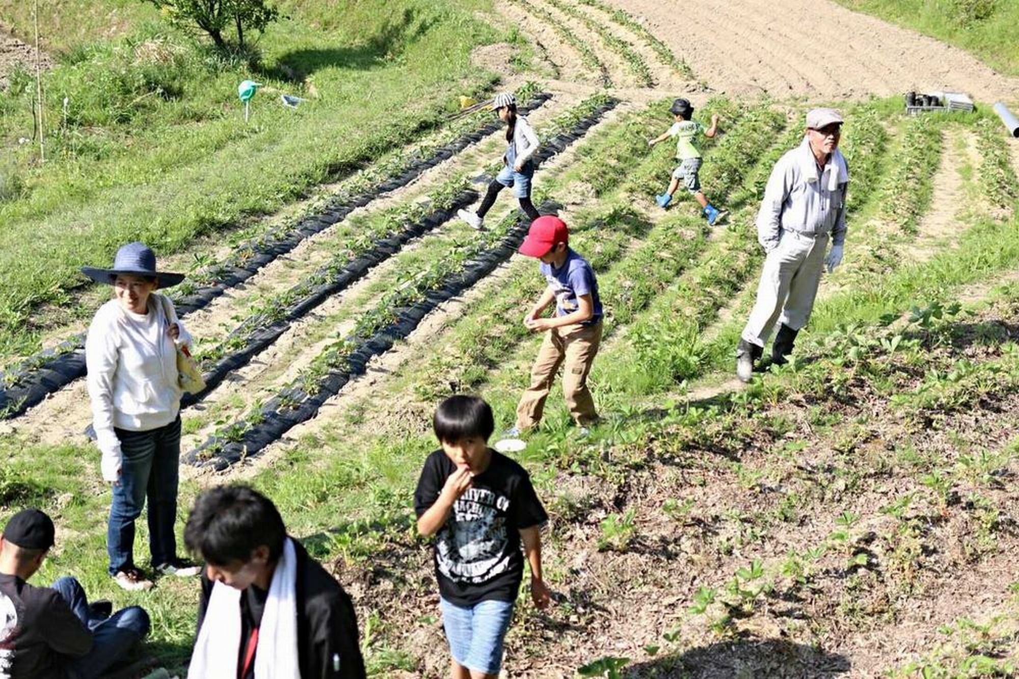 貸し農園-奈良・手ぶらで自家農園